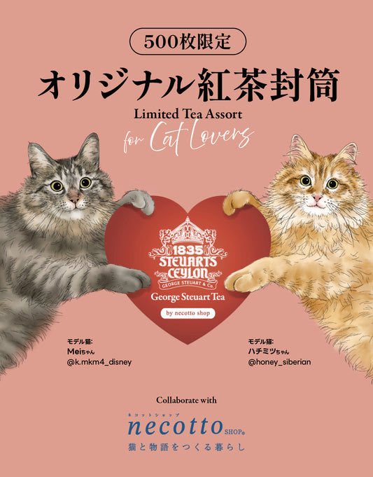 猫封筒 (necotto shopコラボ)