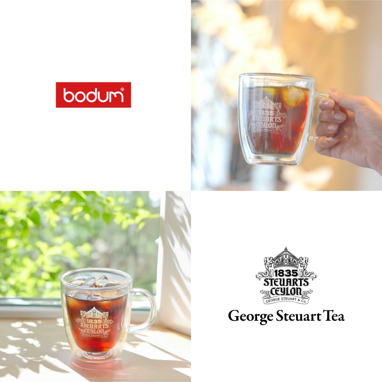 【数量限定】ロゴ入りマグ (Bodumコラボ)