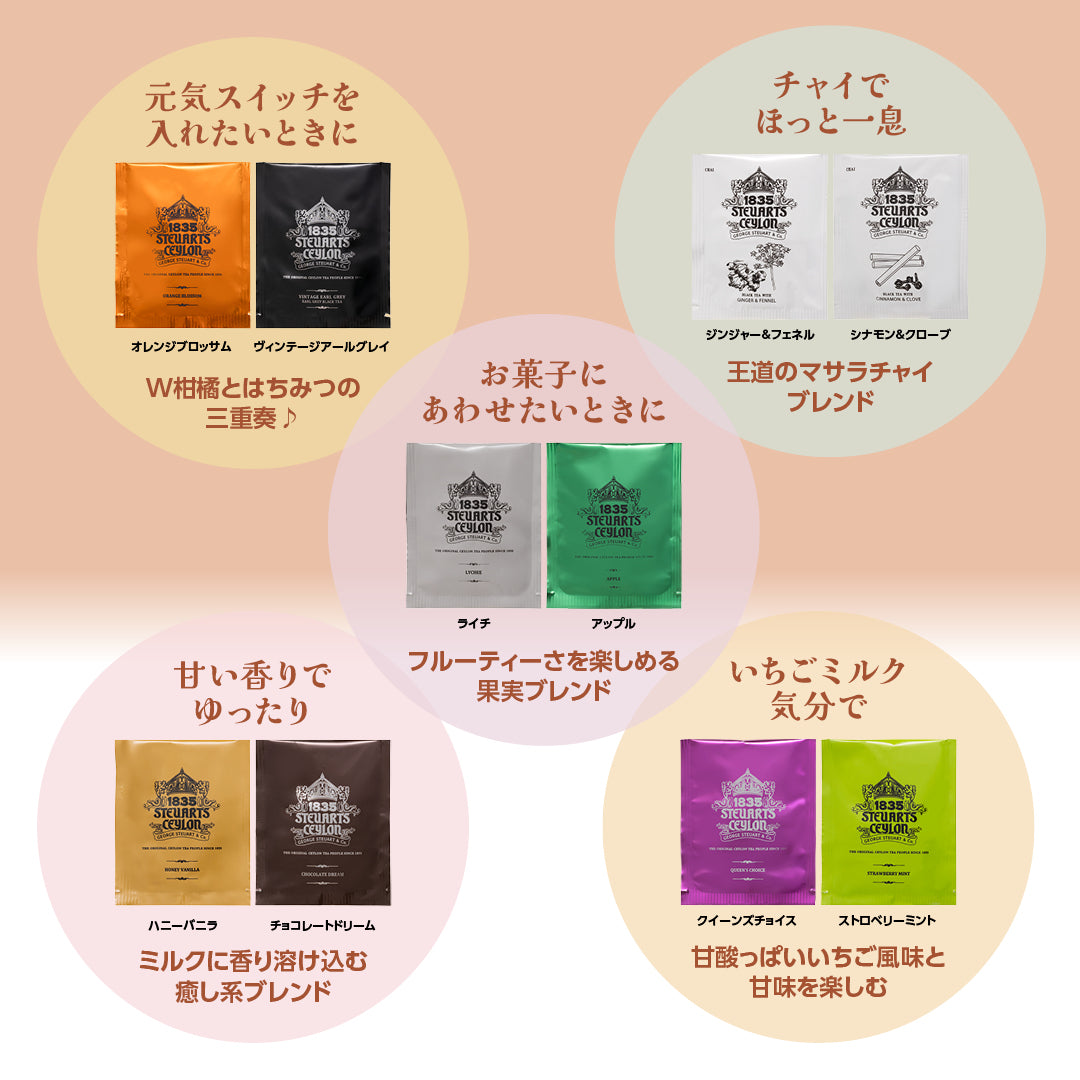 おかわりセット for ミルクティーギフトブック ティーバッグ100袋(10種×10袋)