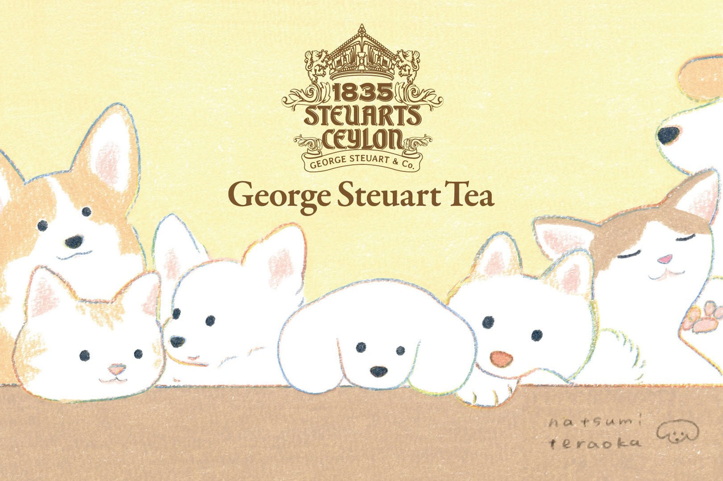 【犬の限定イラスト】ティーバッグ5種セット<ミニシール付き>×てらおかなつみ 【紙箱入り紅茶】
