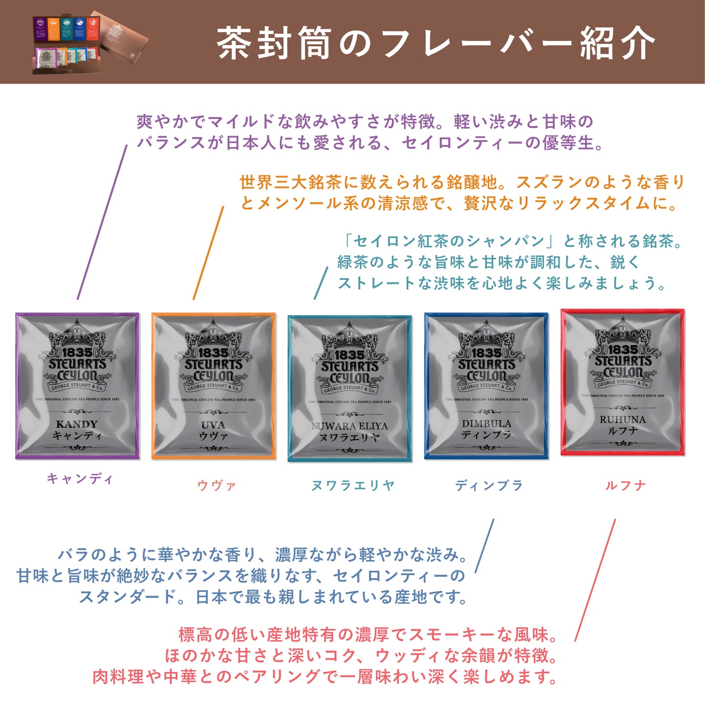 【詰合せ紙箱】エクスクルーシヴコレクション(EXCLUSIVE COLLECTION) 茶封筒の5種×各4杯 計20ティーバッグ入り
