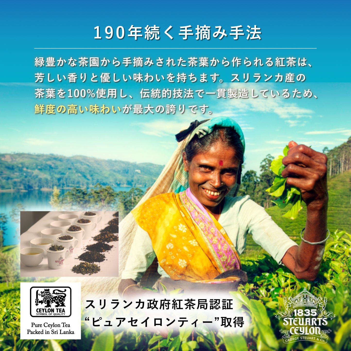 【20ティーバッグ入り紙箱タイプ】イングリッシュブレックファスト(ENGLISH BREAKFAST)