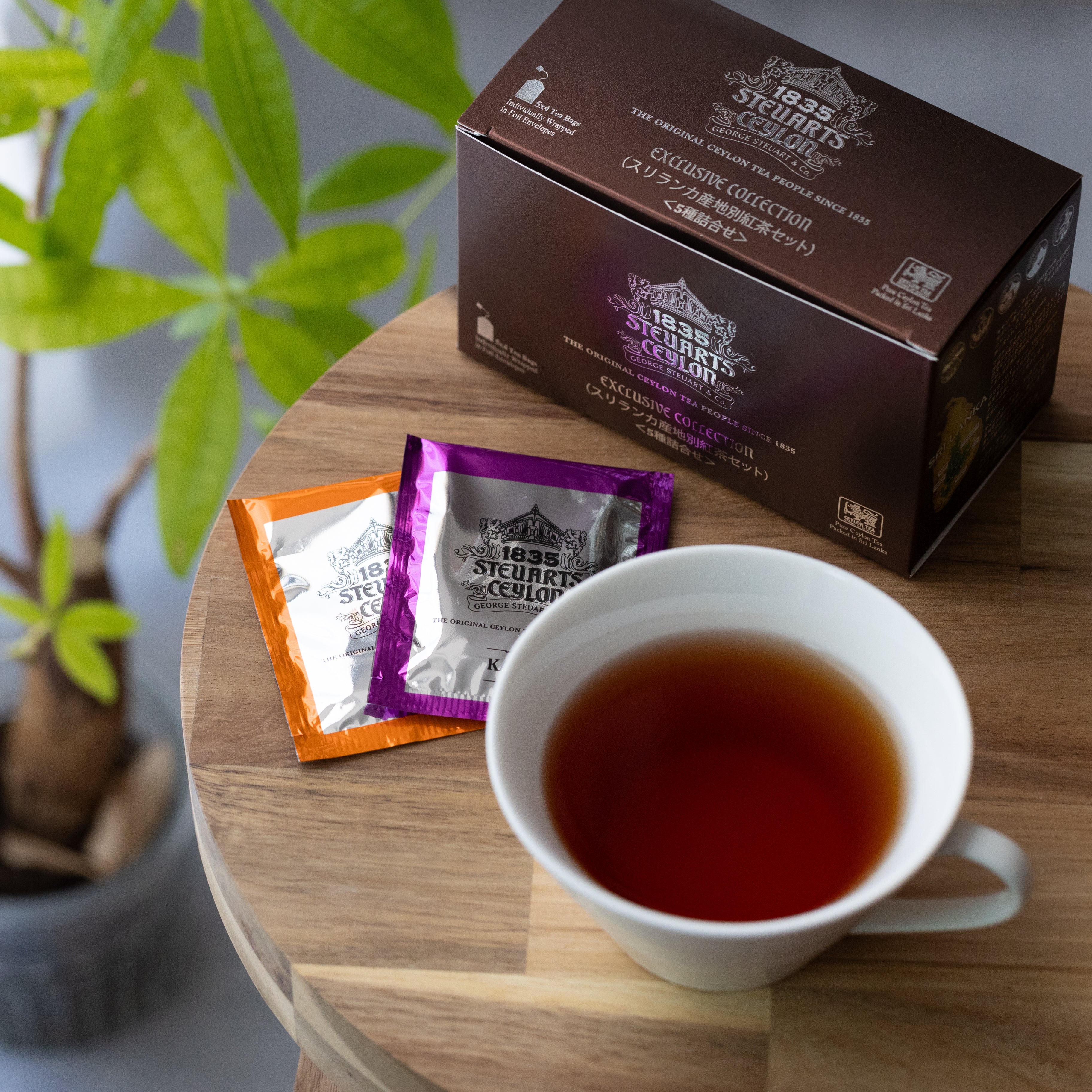 紅茶♥️ George Steuart Tea 公式オンラインストア – ジョージスチュアート