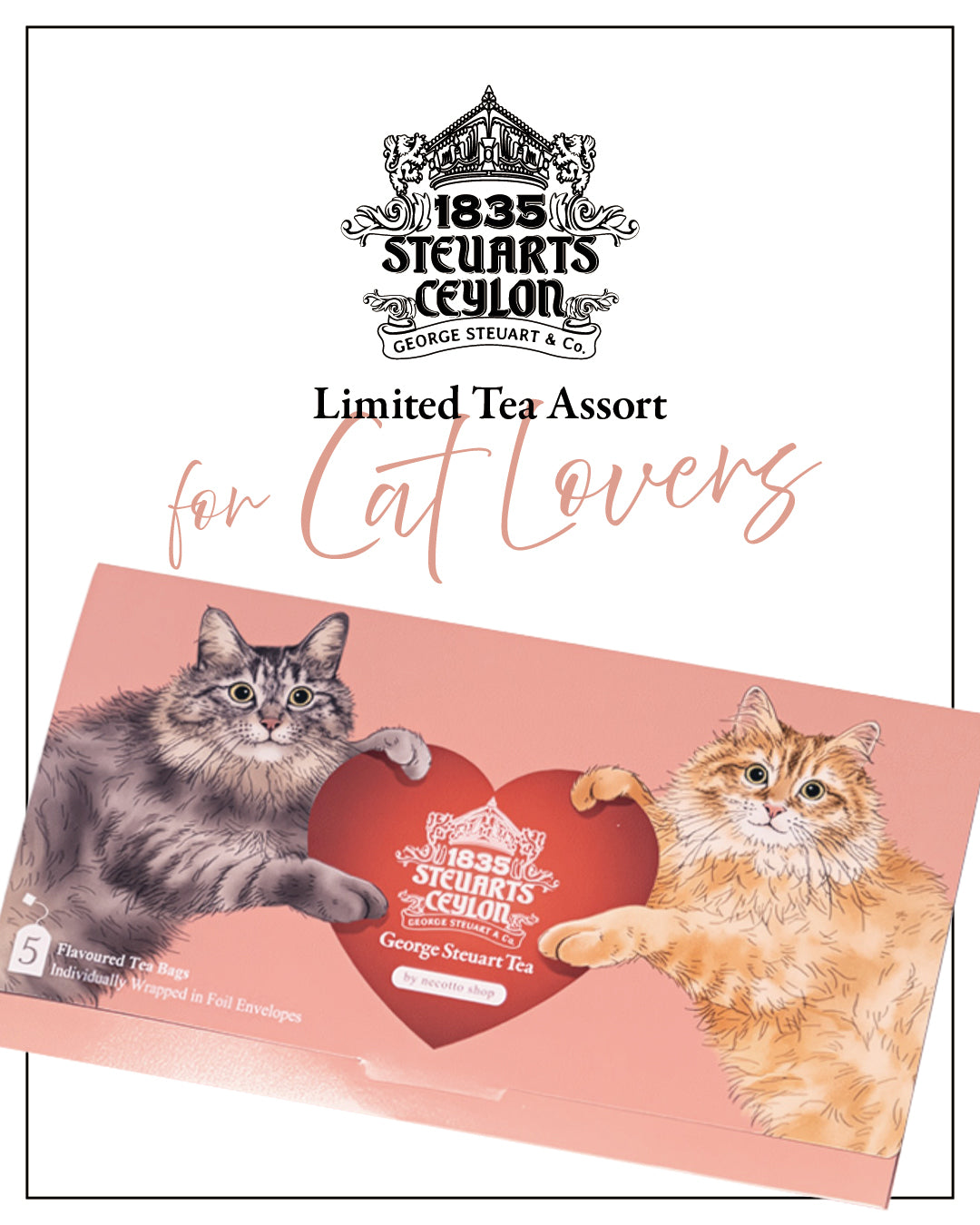 猫封筒 (necotto shopコラボ)