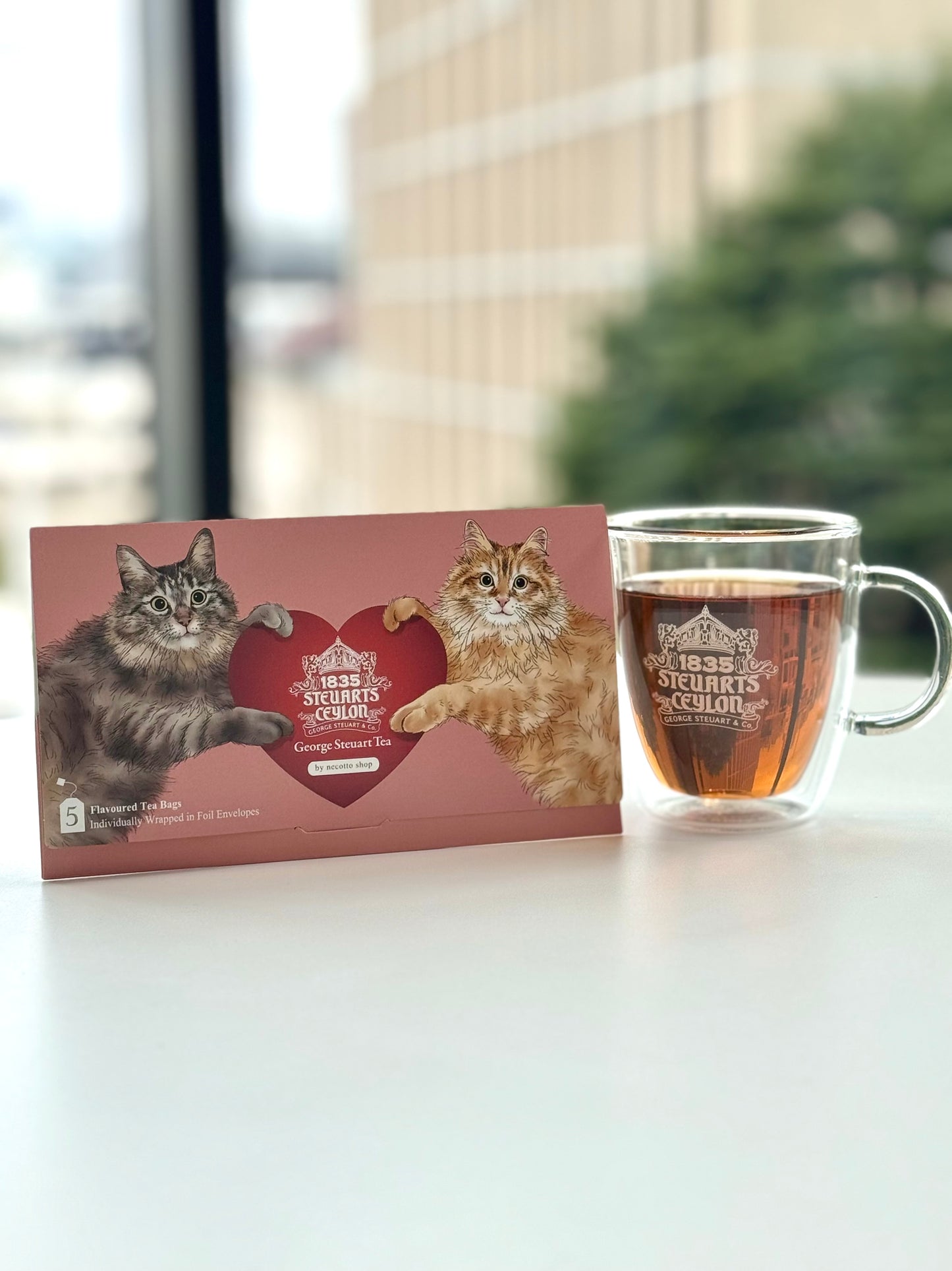 猫封筒 (necotto shopコラボ)