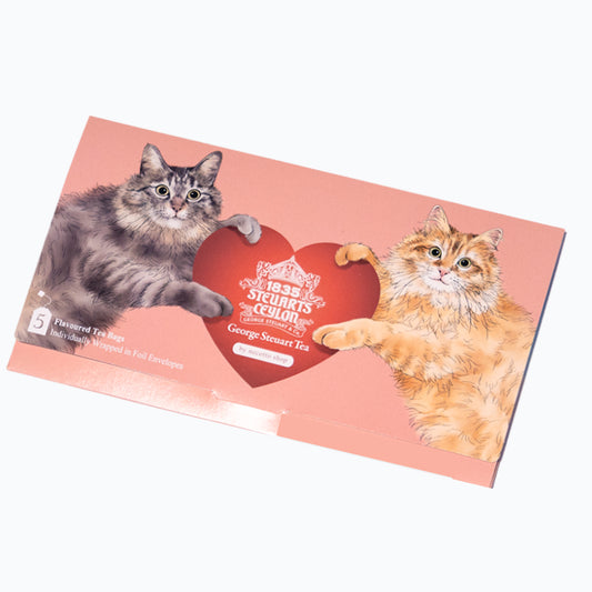 猫封筒 (necotto shopコラボ)