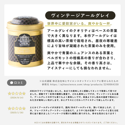 選べるメタル缶２個ギフトセット　トライアングルティーバッグ