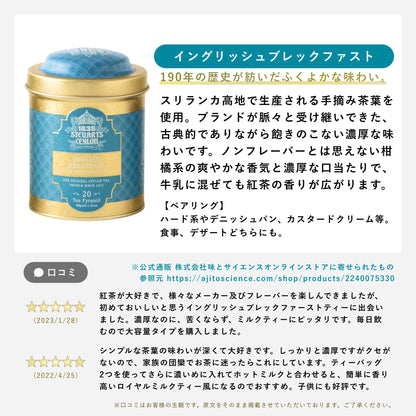 選べるメタル缶２個ギフトセット　トライアングルティーバッグ