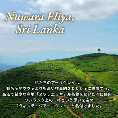 ヴィンテージアールグレイ【100袋30%オフ】ティーバッグセット