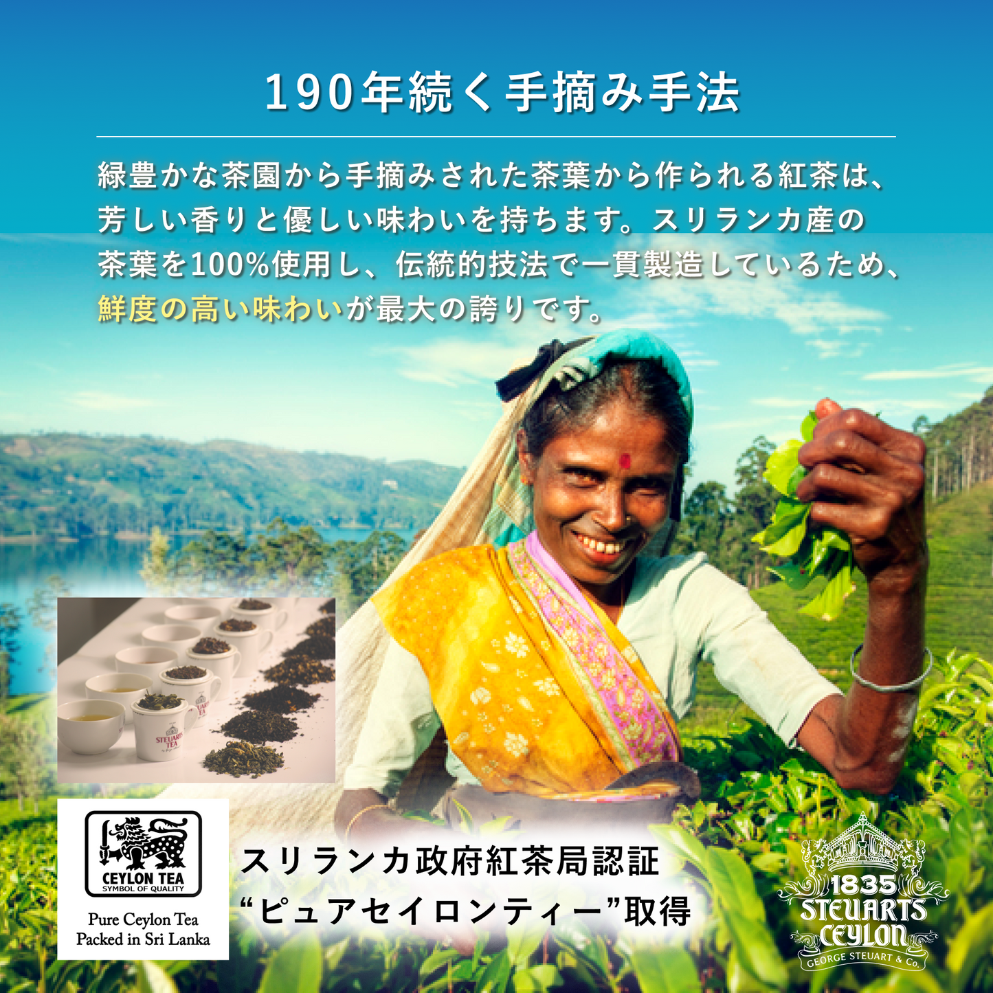 【20ティーバッグ入り紙箱タイプ】ヴィンテージアールグレイ（VINTAGE EARL GREY）