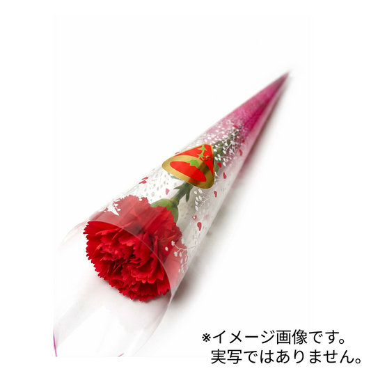 母の日 ミニカーネーション
