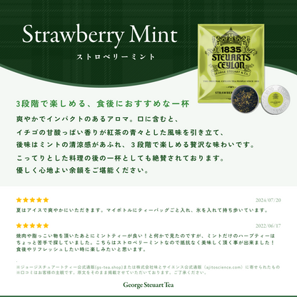 ストロベリーミント リーフティー 30g 缶入り